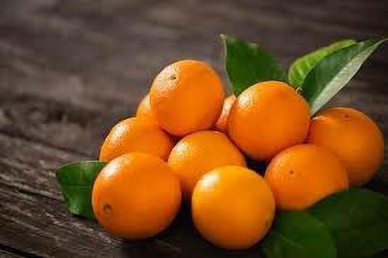 Hybrid sweet orange plant with basil seeds from brand 205, showing fresh green leaves and vibrant citrus fruit on the tree.