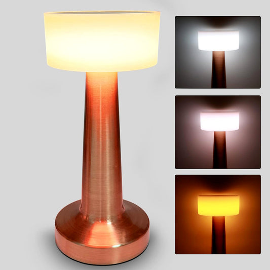 Wukusy LED desk lamp with touch control, portable metal design, 3 color options, dimmable brightness, eye protection for home or kids room