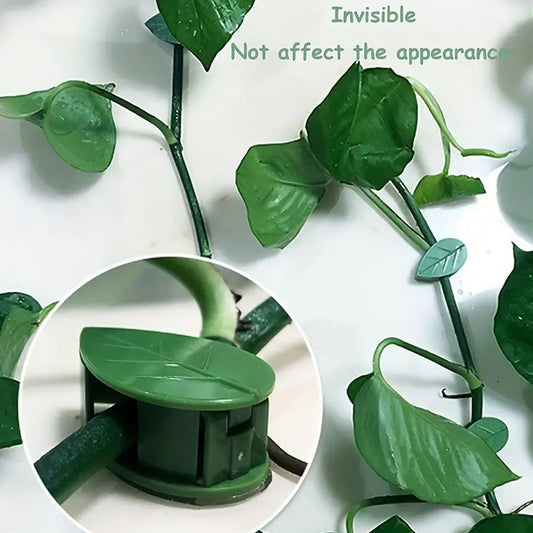 Wukusy plant climbing wall fixture clip set with self-adhesive hooks for green vines and indoor outdoor plant support, 10 pcs.