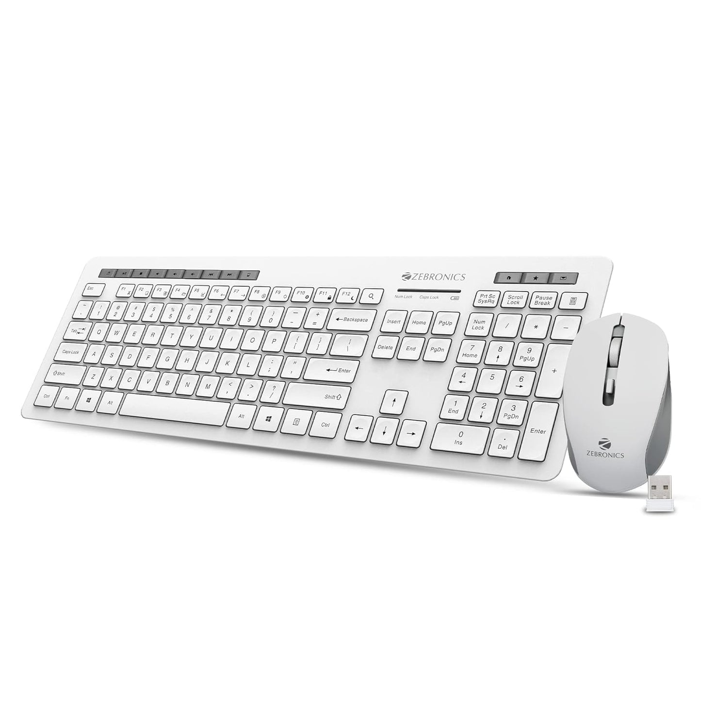 Seasons Zebronics Zeb-Companion 500 wireless desktop keyboard and mouse combo in white and grey, with sleek keys and ergonomic design.