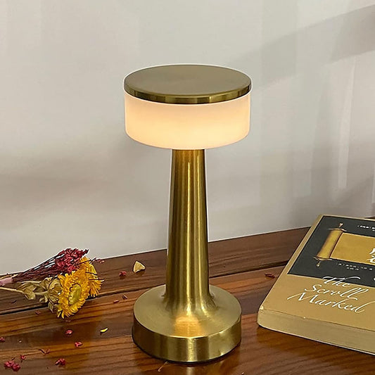 Wukusy LED touch control desk lamp with metal finish, portable design, three color options, dimmable brightness, eye protection for home use