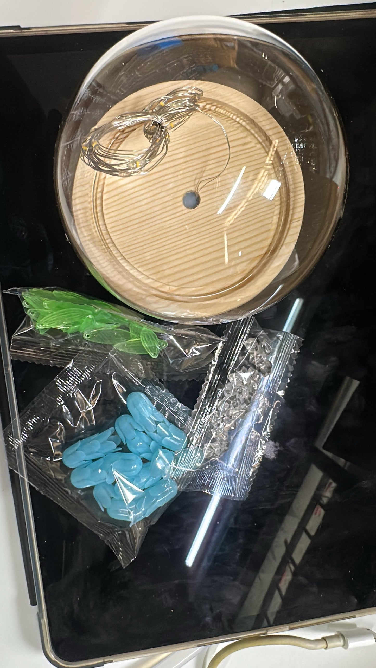 Wukusy DIY flower dome LED night lamp decorative table light kit with clear glass dome and colorful LED lights inside.