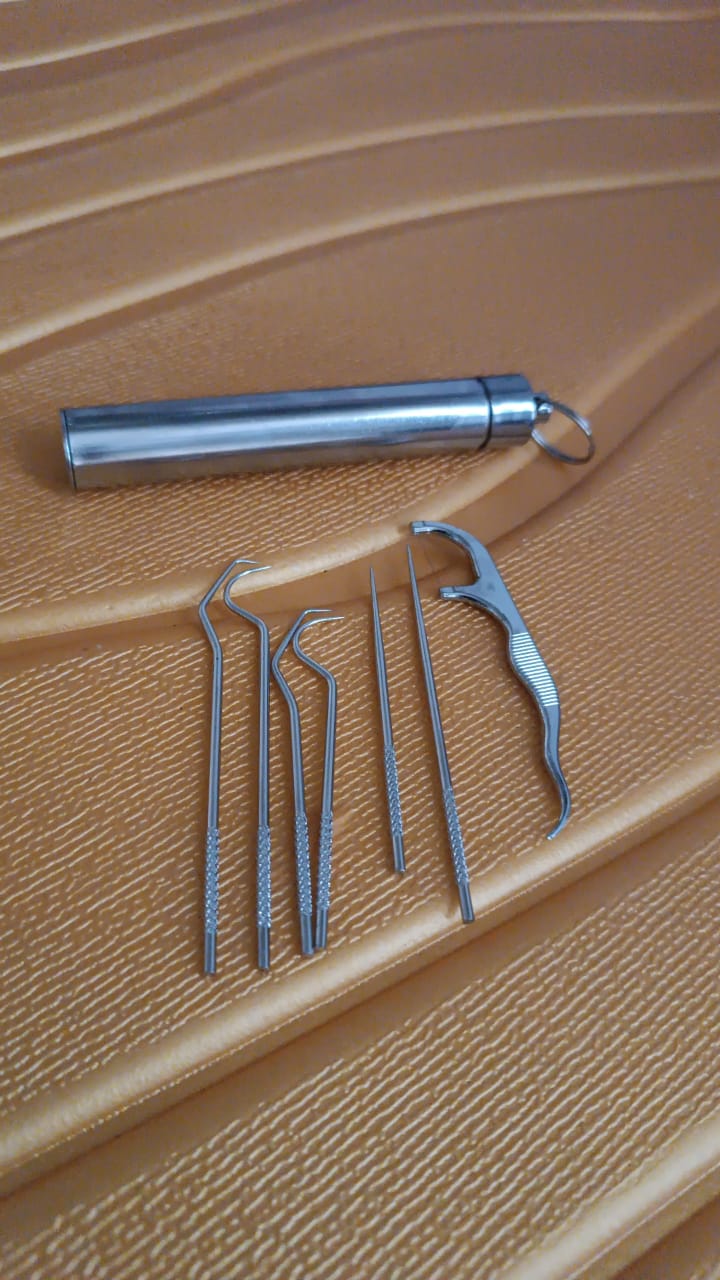 Wukusy 7-in-1 stainless steel toothpick flossers set with case, compact home improvement dental hygiene tools displayed in the image.