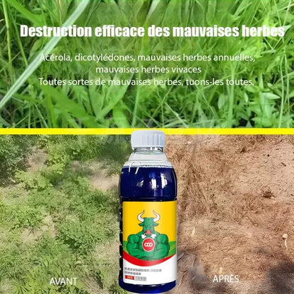 Two garden sprayers containing high-concentration Glufosinate herbicide for all crops, branded 1361, shown in the image.