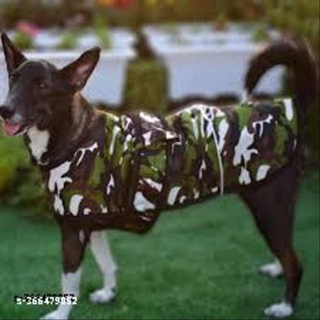 Multicolor fabric winter army print coat for dog, 26-inch pet bed, designed to keep dogs warm and stylish during cold weather