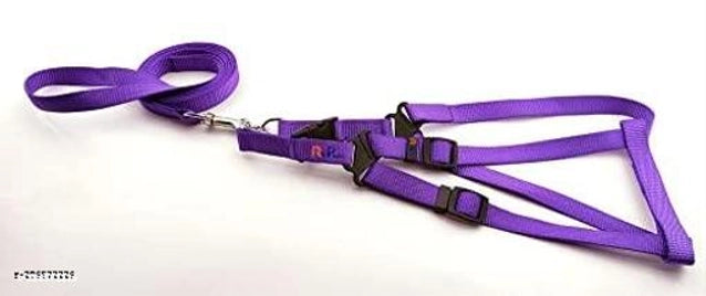 Multicolor fabric dog harness with 5-foot leash, 1-inch width, designed for pet comfort and control.