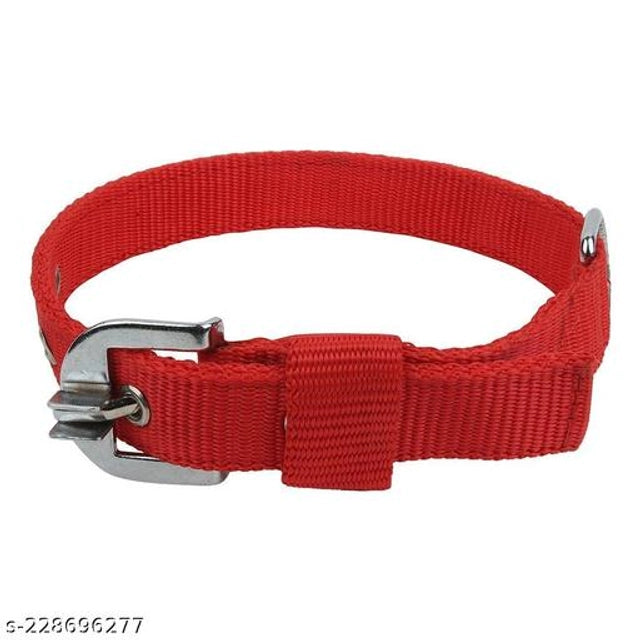Multicolor XL nylon collar neck belt for pets, designed for comfort and style, shown on a pet bed.