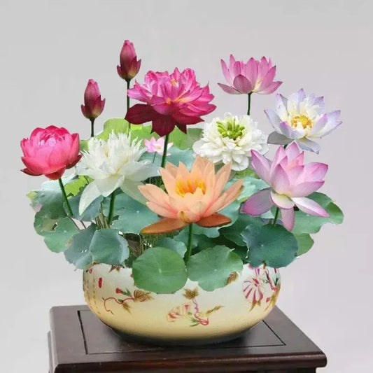 Close-up of Basil Seeds in The Sacred Bonsai Bowl Lotus Flower with vibrant green foliage and intricate design details.