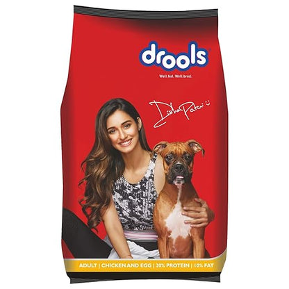 Dog lying on a cozy pet bed, 15929 brand, designed for adult dogs, with a soft, comfortable surface ideal for rest and relaxation.