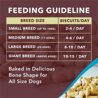 Set of mid-sized pet dog beds with soft fabric and cushioning, designed for puppies and dogs, featuring a cozy, supportive design.
