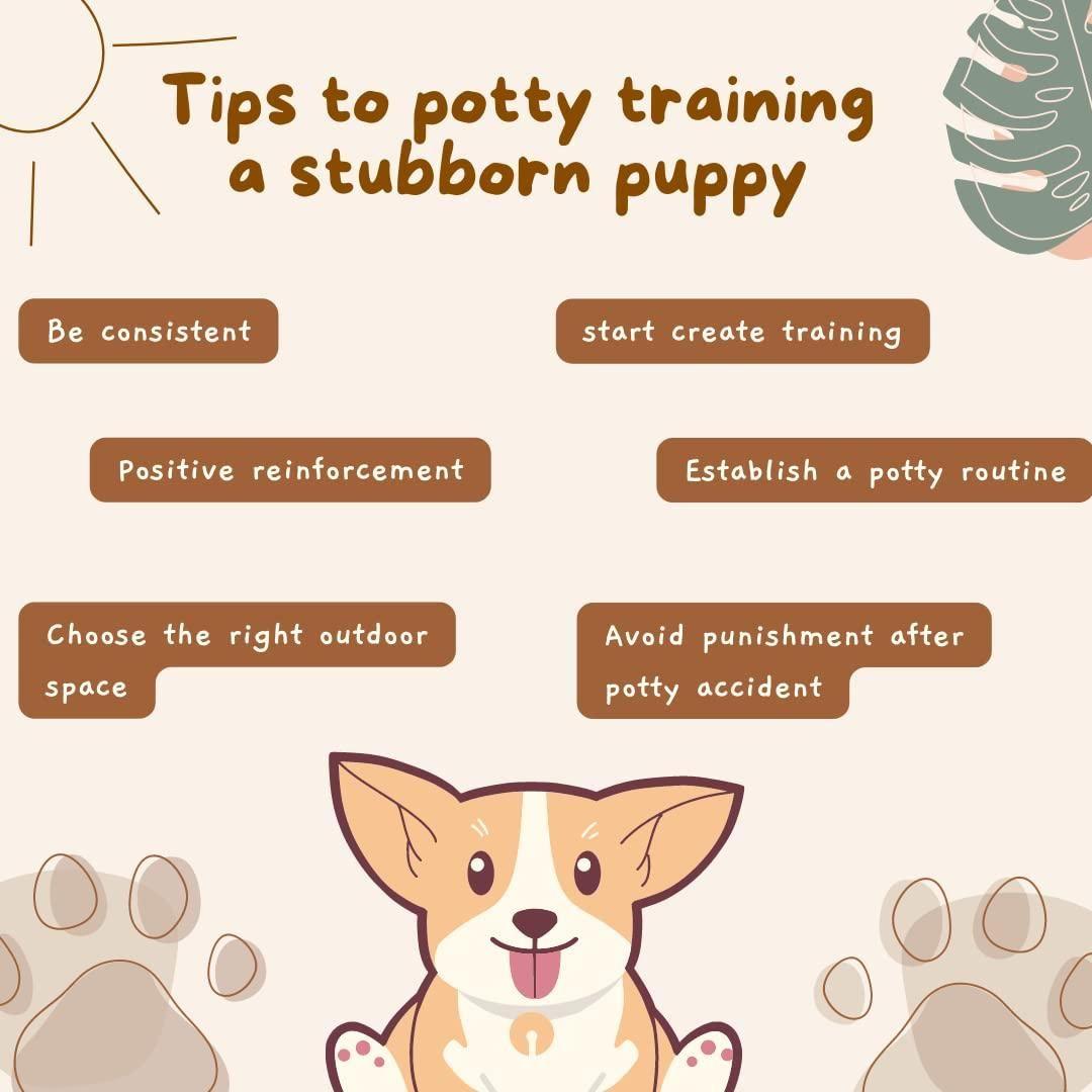 Natural potty training spray for dogs and cats in 100ml bottles, part of 18277's pet care product collection.
