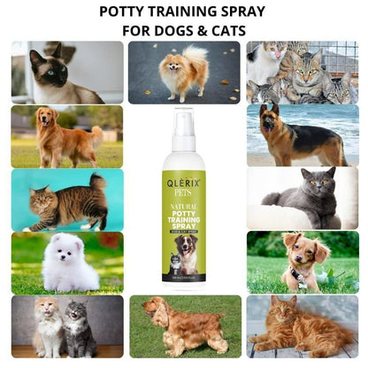 Natural potty training spray for dogs and cats in 100ml bottles, from 18277, designed to aid training routines.