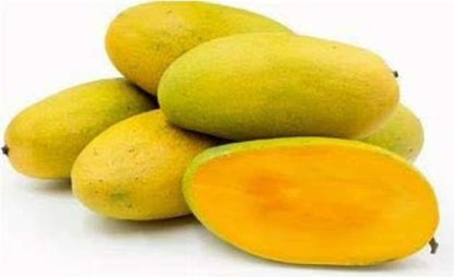 Seeds Vg Dasheri Aam Mango Plant with Basil Seeds from brand 19235, showing green mango plant and basil seed packets.