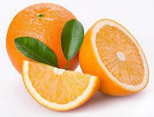 Hybrid sweet orange basil plant grown from 19235 brand basil seeds, featuring vibrant green leaves and healthy foliage.