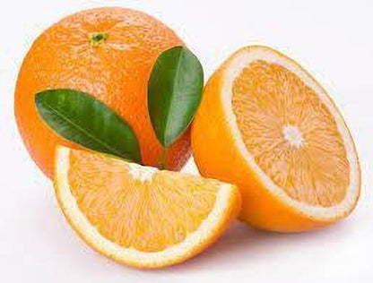 Hybrid sweet orange basil plant grown from 19235 brand basil seeds, featuring vibrant green leaves and healthy foliage.