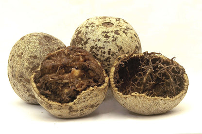 Thai Wood Apple basil seeds live plant by 205, showcasing lush green basil plant leaves with vibrant growth.