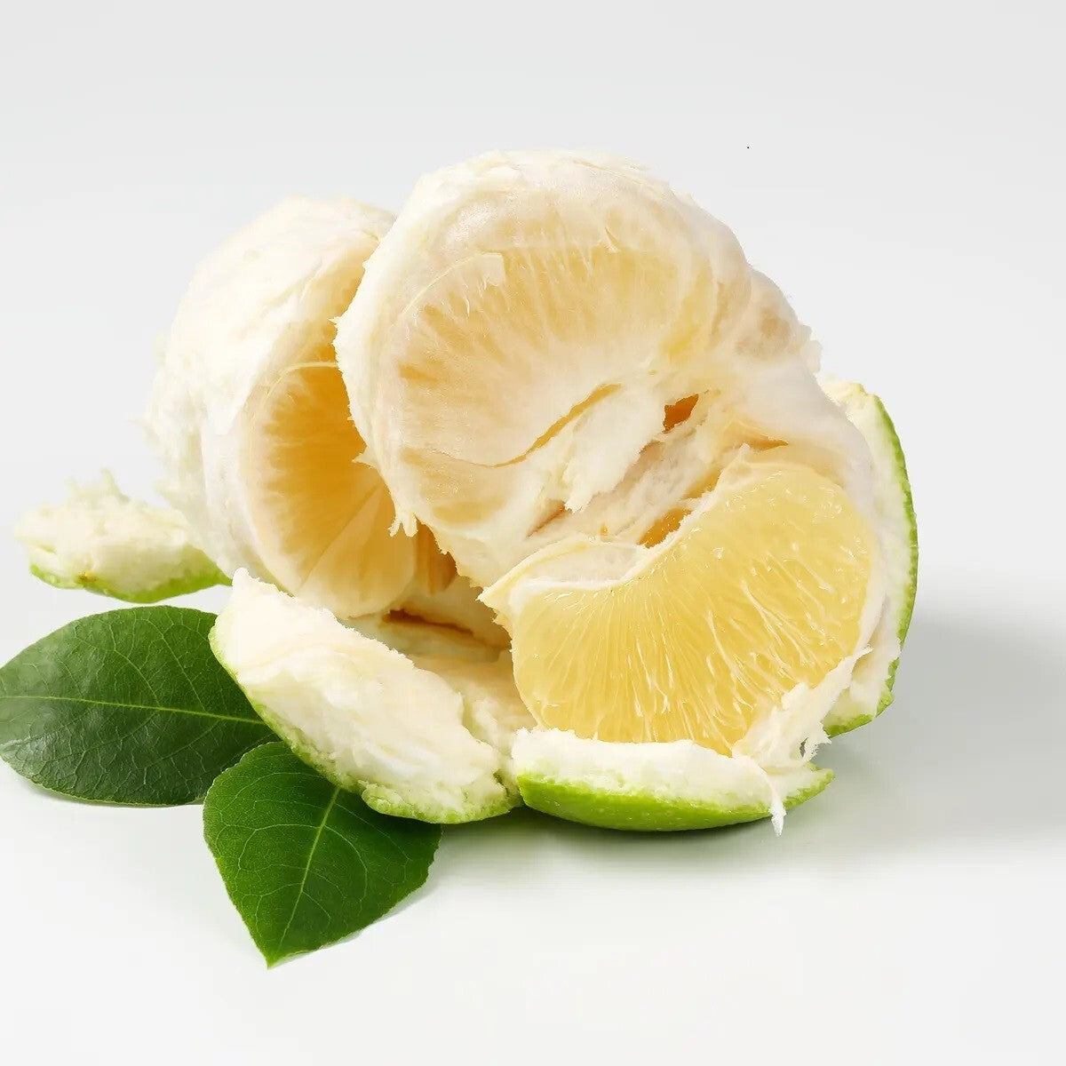 Close-up of 205 brand basil seeds labeled "Seeds Seasonal Lemon" on a white background.