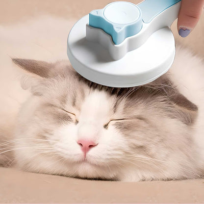 Pet Hair Removal Brush from 19378, showing a handheld grooming tool with bristles for removing pet hair from furniture.
