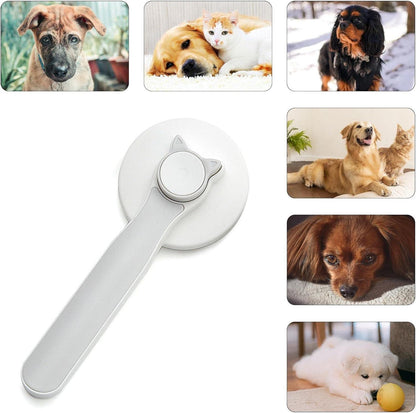 Pet hair removal brush from 19378 showing a handheld tool with bristles designed to remove pet hair from furniture and clothing.
