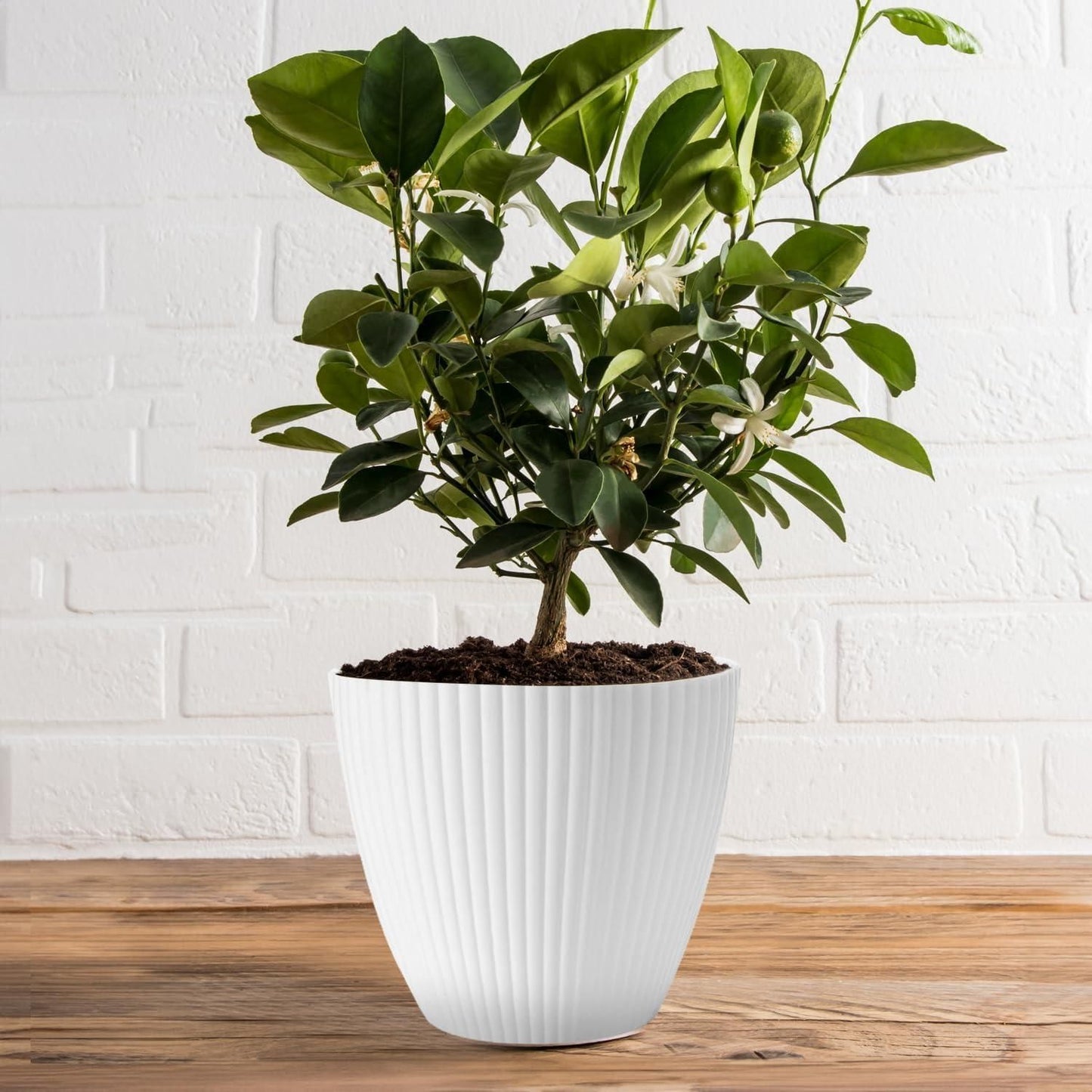 Plastic round flower pot with drainage holes and tray, suitable for indoor and outdoor plants, part of 19378 kitchen tool set.
