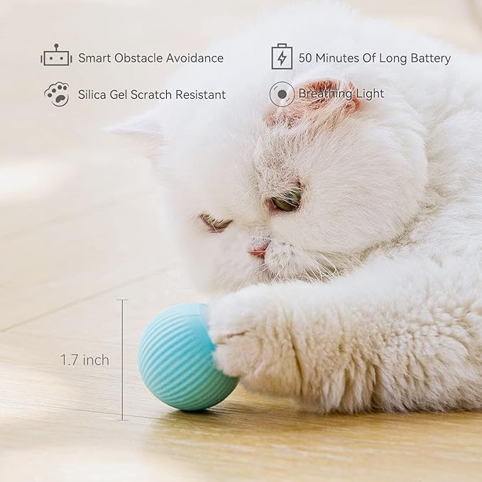 Interactive cat toy ball with LED light, 360° self-rotating electric ball, USB rechargeable, designed for playful feline entertainment.