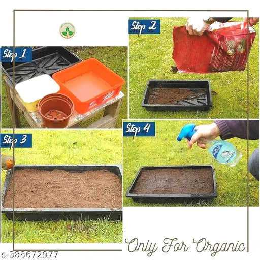 Bag of 18223 basil seeds for planting, mixed flower seeds variety, showcasing small seed packets with colorful flower illustrations.