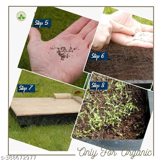 Mixed flower seeds with basil seeds from brand 18223, showing small seeds in a clear container ready for planting.