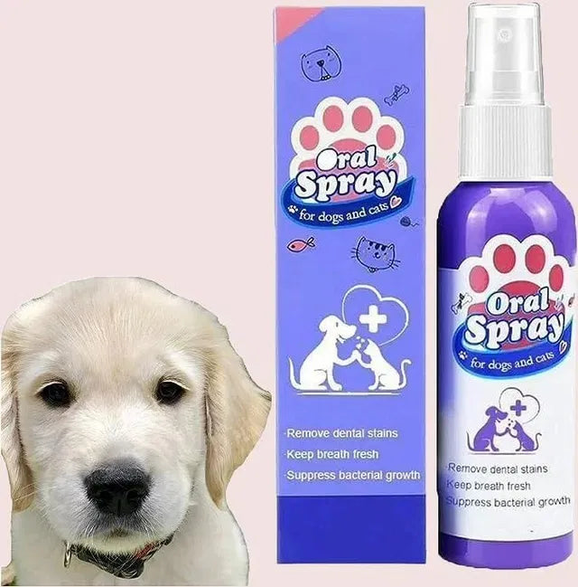 Two packs of 18277 pet tooth cleaning spray bottles for pet oral hygiene, shown next to soft pet beds in a home setting.