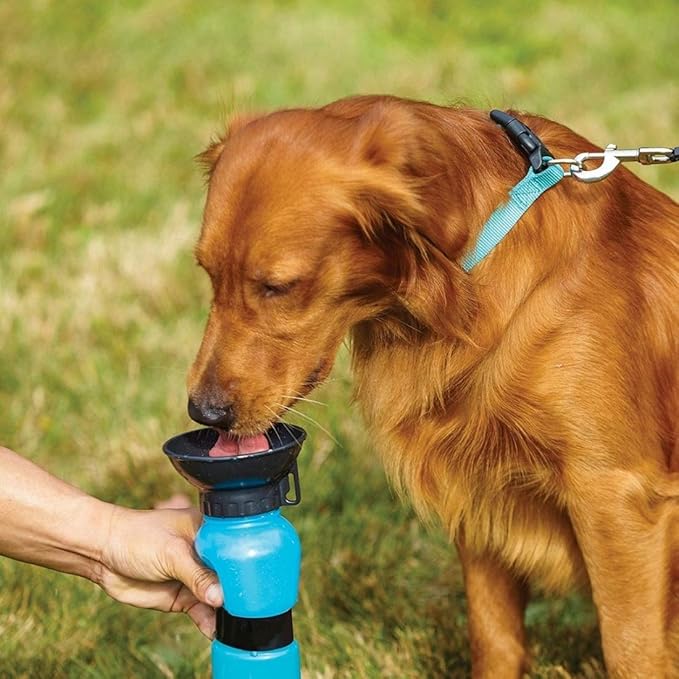 Pet Sipper portable water pump bowl and bottle for pets, featuring Aqua Fresh water dispenser and convenient mug design.