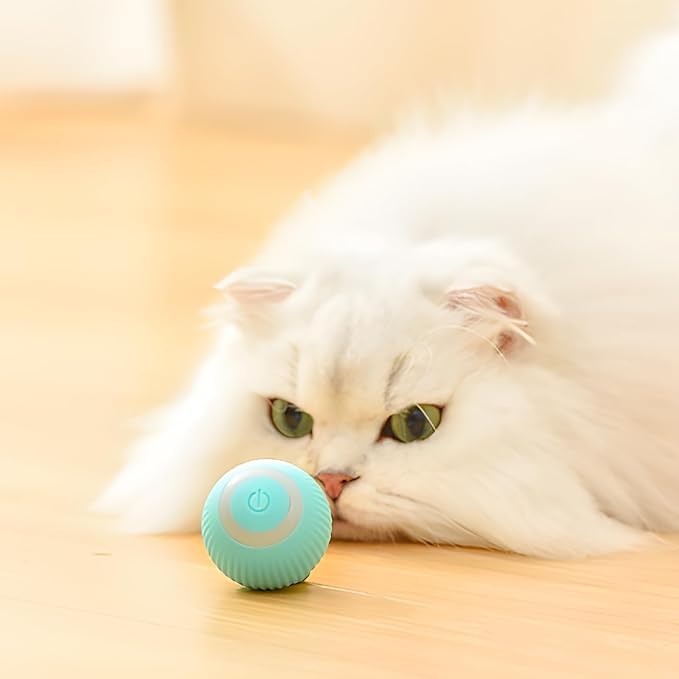 Multicolor cat ball toy with automatic 360° rotation, LED lighting, USB rechargeable, designed for kittens and dogs to play and exercise.