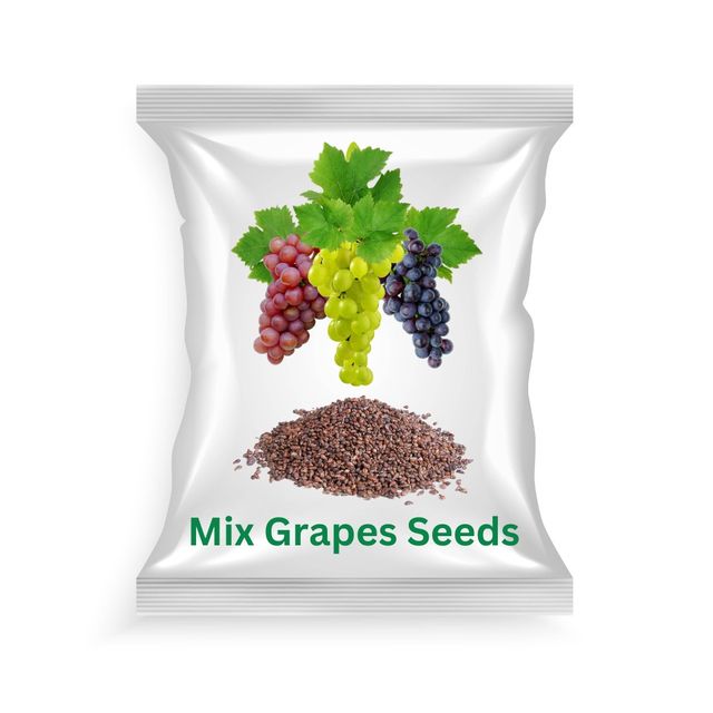 Multicolor vegetable seeds mix by 18605, including grape seeds, tested and packed for home, terrace, and kitchen gardening.