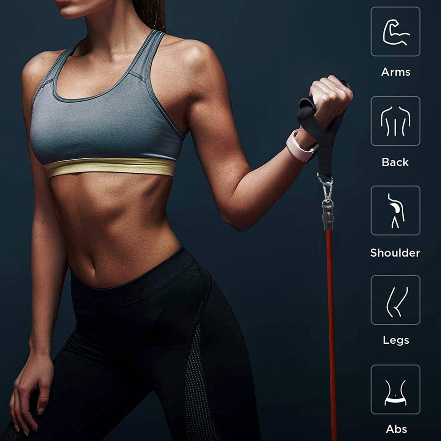 Premium Edition professional resistance exercise bands and tubes, stackable up to 110 lbs for indoor and outdoor fitness workouts.
