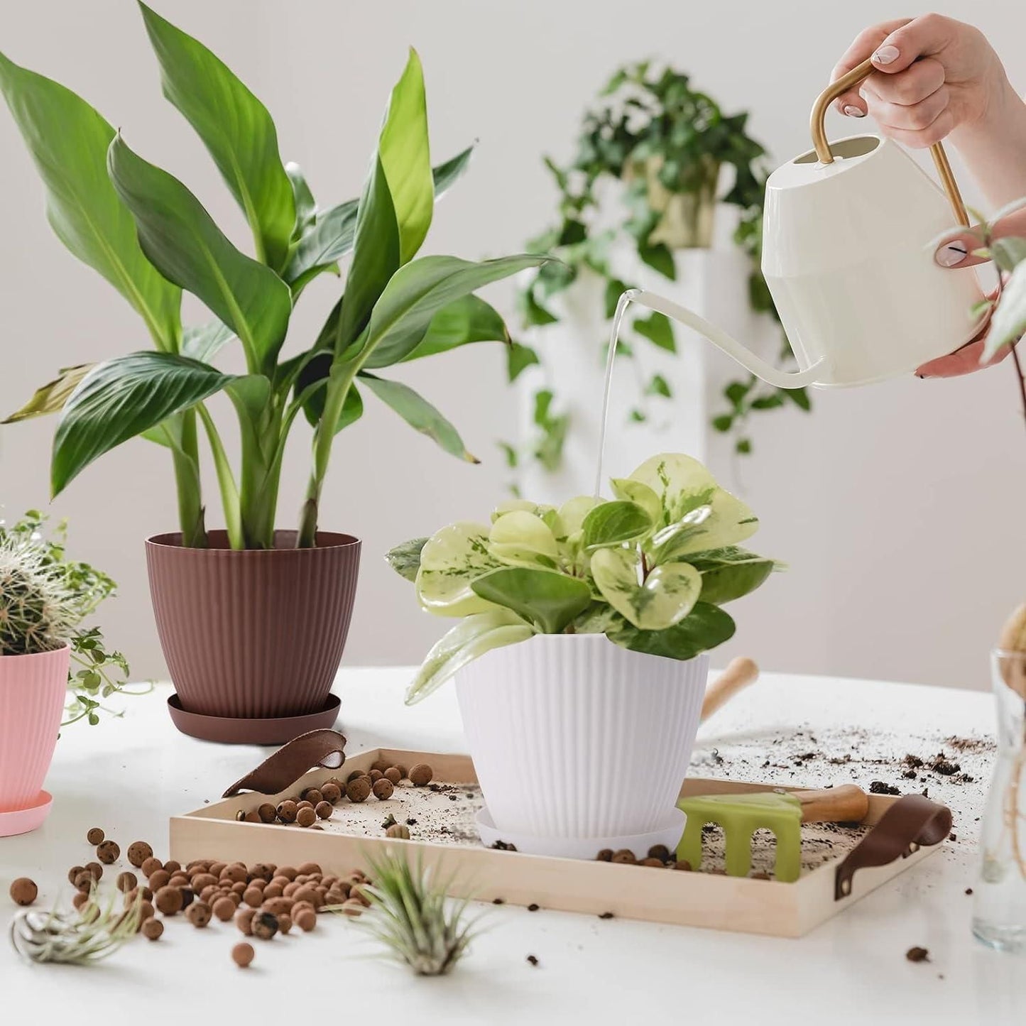 Plastic round flower pot with drainage holes and tray, ideal for indoor and outdoor plants, from 19378 kitchen tool sets.