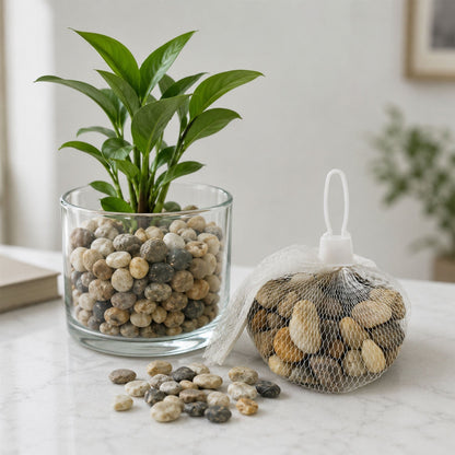 Set of natural river pebbles stones by Wukusy, ideal for aquarium, vase, planter, and garden decor, showing smooth, rounded stones.