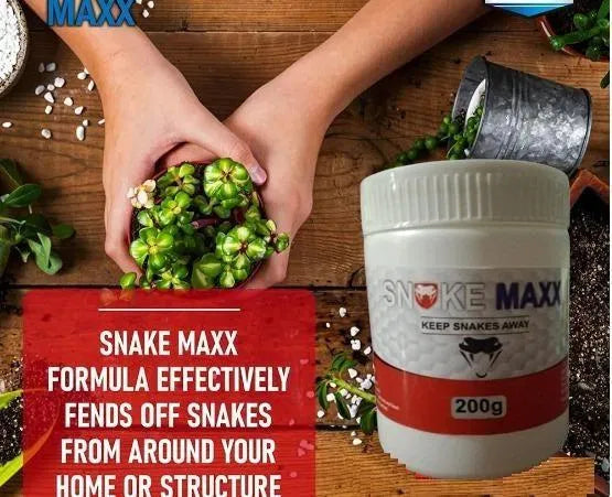 205 Snake Maxx non-toxic, biodegradable pet-friendly snake repellent powder in a pack of two, shown in a clear container.