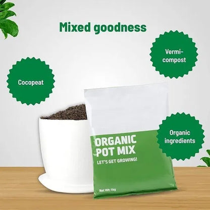 Garden sprayer with organic pot mix 500g from 205 brand, showing the product container and garden application setup.