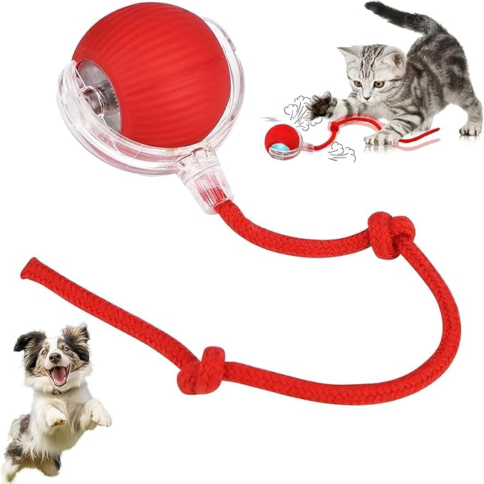 Colorful cat toy ball for indoor cats with tail, bird sound, USB rechargeable, automatic rotating feature, designed by 22927.
