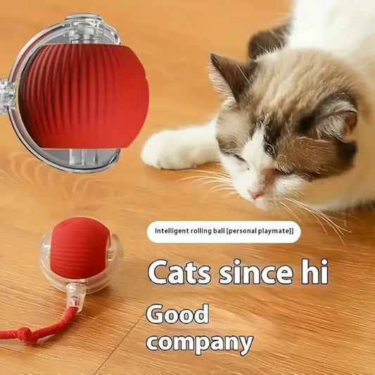 Interactive cat toy by 22927 featuring a rolling ball with tail, bird sound, USB recharge, and automatic rotation for indoor cats.
