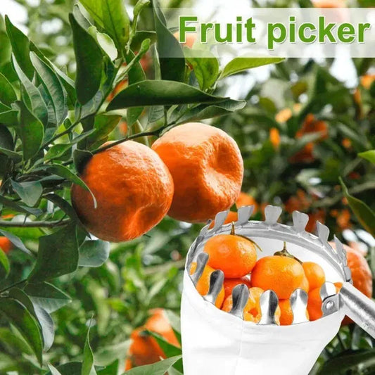Set of gardening tools including a fruit picker and fruit picking tool for harvesting fruits in orchards and gardens.