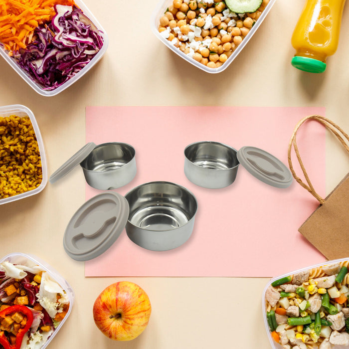 Drpshippr 4 insulated tiffin box with outer plastic shell and inner steel containers for home and kitchen use
