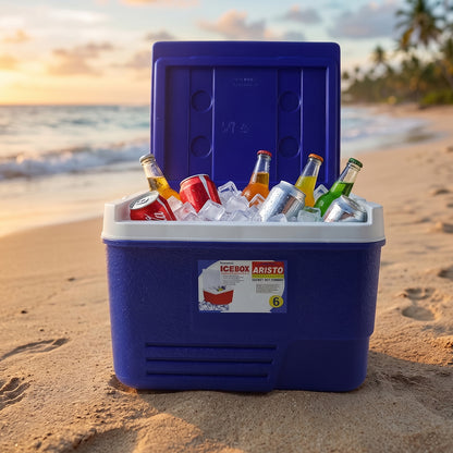 Blue Wukusy portable insulated ice cooler box with carry handle, 6 liters, designed for keeping drinks and food cold.