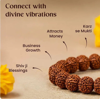 7 Mukhi Rudraksha bracelet made of natural Rudraksha beads, designed for spiritual pooja and meditation practices.