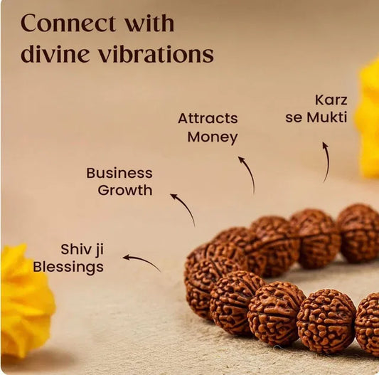 7 Mukhi Rudraksha bracelet made of natural Rudraksha beads, designed for spiritual pooja and meditation practices.