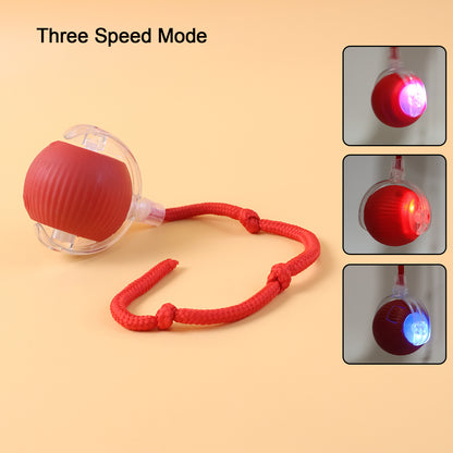 Wukusy rechargeable interactive cat toy ball with LED light, detachable braided tail, designed for feline play and entertainment.