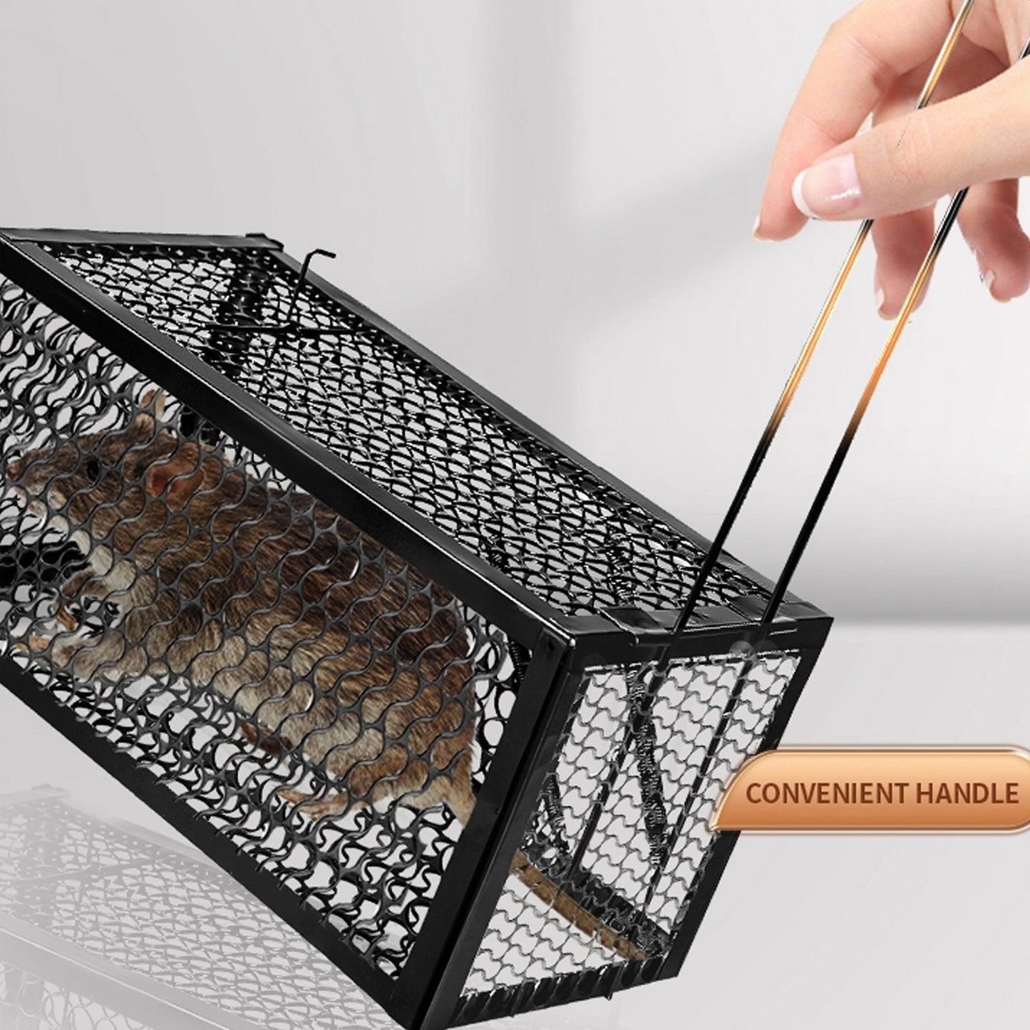 Wukusy 0365 foldable squirrel and mouse trap in a home improvement setting, showing the small live animal cage for humane catch and release