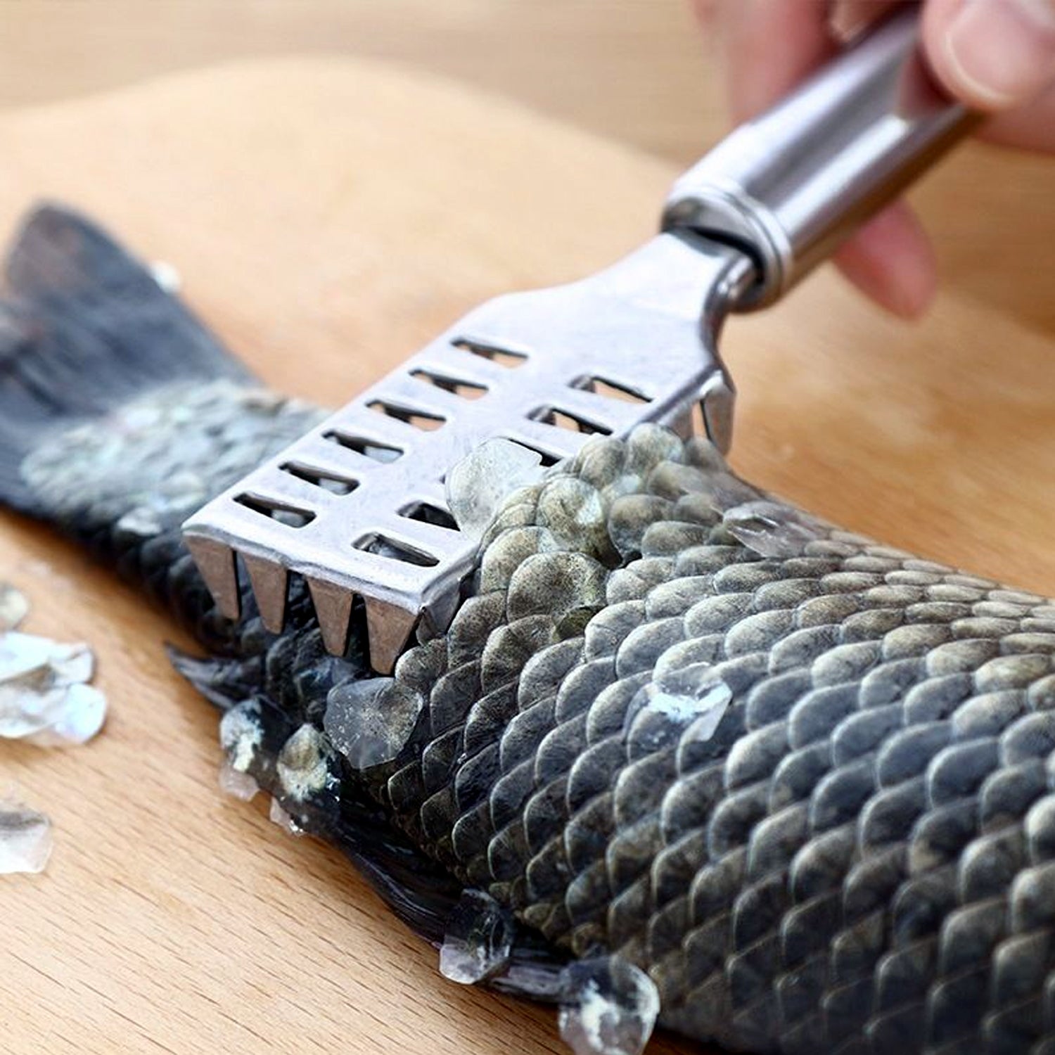 Wukusy stainless steel fish scale remover scraper with sawtooth edge for easy fish cleaning and scaling in kitchen.
