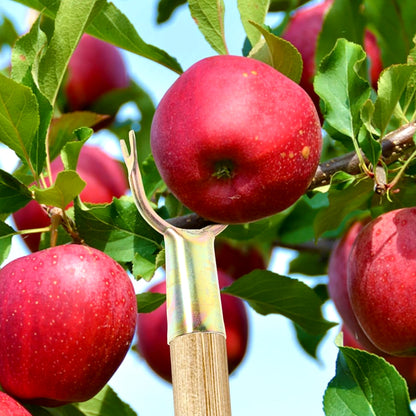 Wukusy fruit plucking tool head set with two different-sized plastic heads for gentle fruit harvesting.