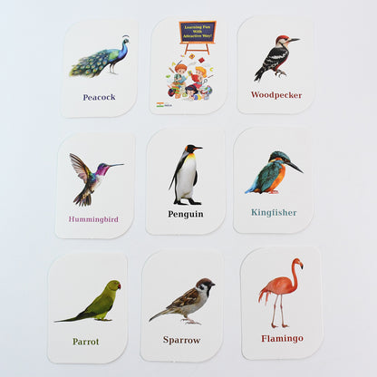 Wukusy Kidkraft Early Learner educational flashcards featuring colorful bird illustrations for children’s learning toys.