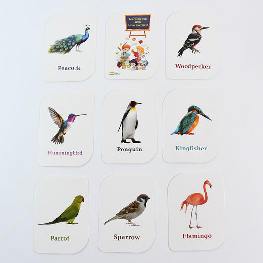 Wukusy Kidkraft Early Learner educational flashcards featuring colorful bird illustrations for children’s learning toys.