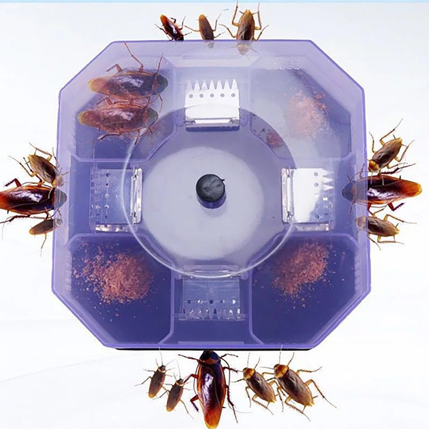 Wukusy 1471 Cockroach Trap box with bait station for catching and controlling cockroaches in indoor spaces.